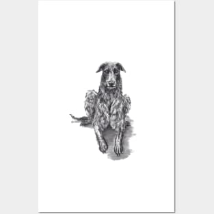 Scottish Deerhound Posters and Art